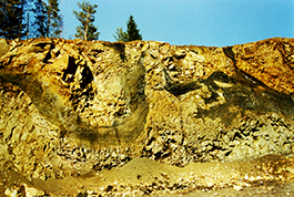Bauersberg1