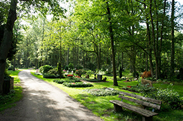Friedhof