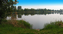 wetterausee